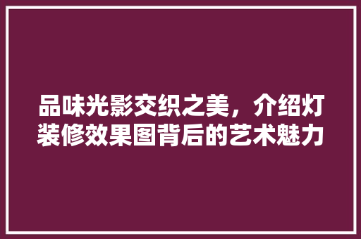 品味光影交织之美，介绍灯装修效果图背后的艺术魅力