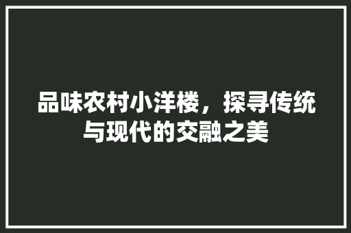 品味农村小洋楼，探寻传统与现代的交融之美