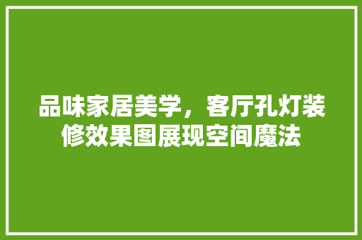 品味家居美学，客厅孔灯装修效果图展现空间魔法