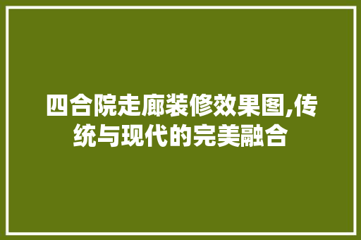 四合院走廊装修效果图,传统与现代的完美融合