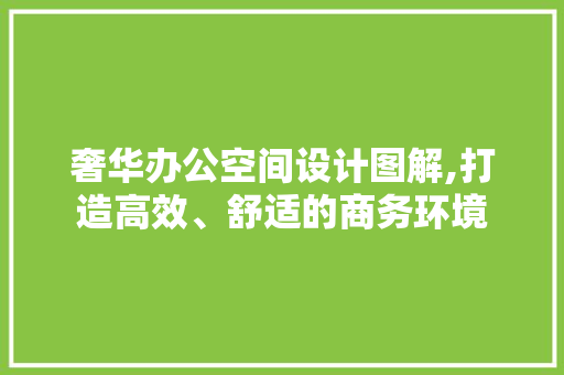 奢华办公空间设计图解,打造高效、舒适的商务环境