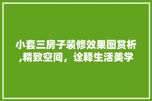 小套三房子装修效果图赏析,精致空间，诠释生活美学