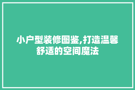 小户型装修图鉴,打造温馨舒适的空间魔法