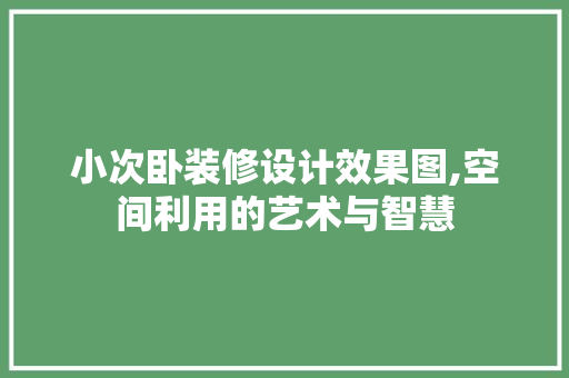 小次卧装修设计效果图,空间利用的艺术与智慧