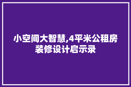 小空间大智慧,4平米公租房装修设计启示录