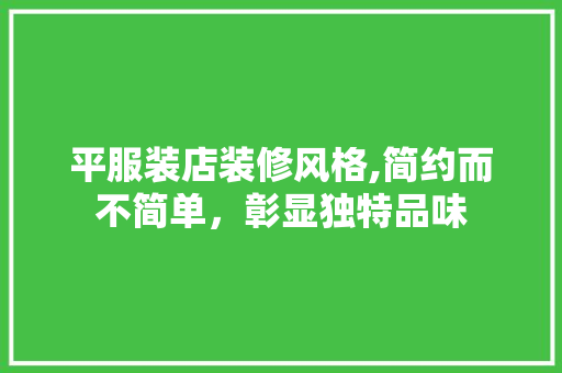 平服装店装修风格,简约而不简单，彰显独特品味