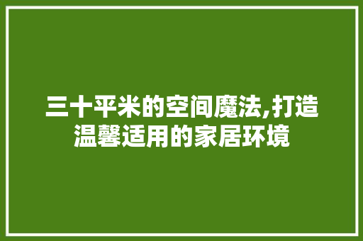 三十平米的空间魔法,打造温馨适用的家居环境