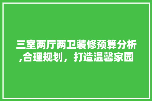 三室两厅两卫装修预算分析,合理规划，打造温馨家园