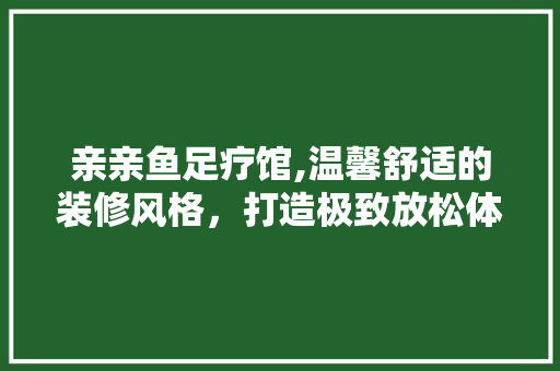 亲亲鱼足疗馆,温馨舒适的装修风格，打造极致放松体验