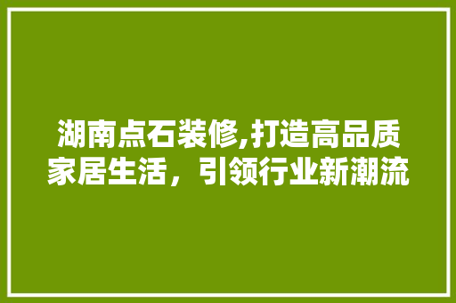 湖南点石装修,打造高品质家居生活，引领行业新潮流