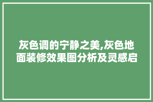 灰色调的宁静之美,灰色地面装修效果图分析及灵感启示