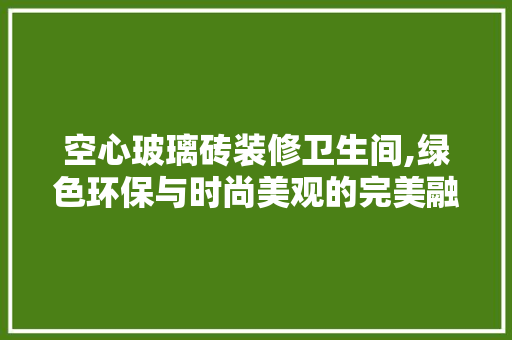 空心玻璃砖装修卫生间,绿色环保与时尚美观的完美融合