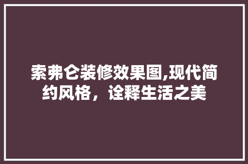索弗仑装修效果图,现代简约风格，诠释生活之美