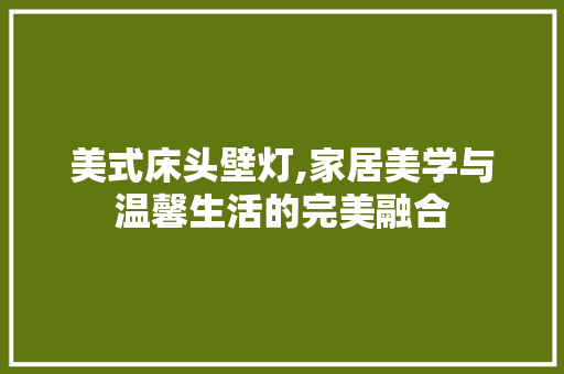 美式床头壁灯,家居美学与温馨生活的完美融合