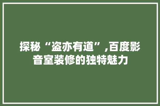 探秘“盗亦有道”,百度影音室装修的独特魅力