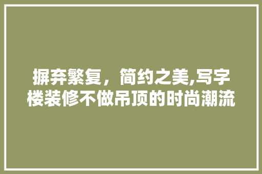 摒弃繁复，简约之美,写字楼装修不做吊顶的时尚潮流