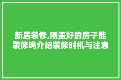 新居装修,刚盖好的房子能装修吗介绍装修时机与注意事项