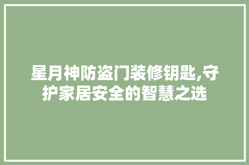 星月神防盗门装修钥匙,守护家居安全的智慧之选