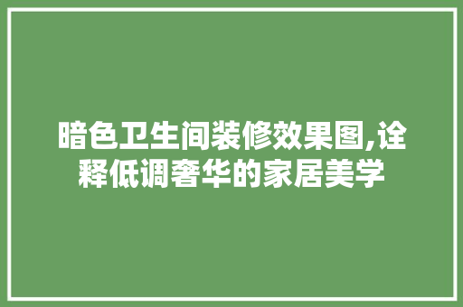 暗色卫生间装修效果图,诠释低调奢华的家居美学