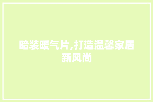 暗装暖气片,打造温馨家居新风尚