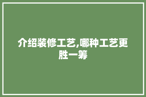 介绍装修工艺,哪种工艺更胜一筹