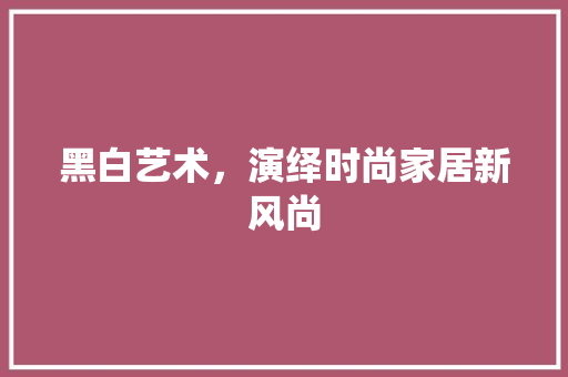 黑白艺术，演绎时尚家居新风尚