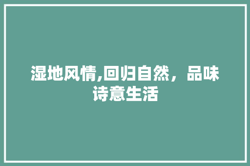 湿地风情,回归自然，品味诗意生活