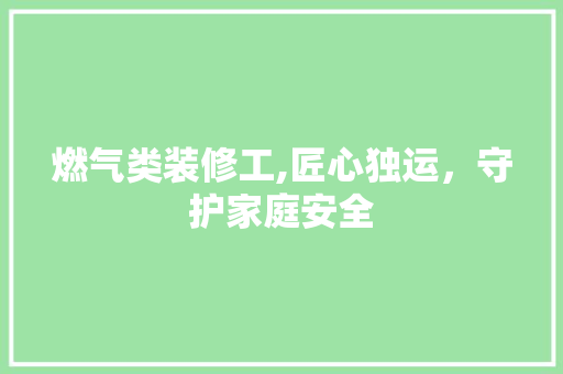燃气类装修工,匠心独运，守护家庭安全