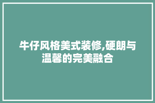 牛仔风格美式装修,硬朗与温馨的完美融合