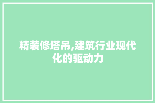 精装修塔吊,建筑行业现代化的驱动力