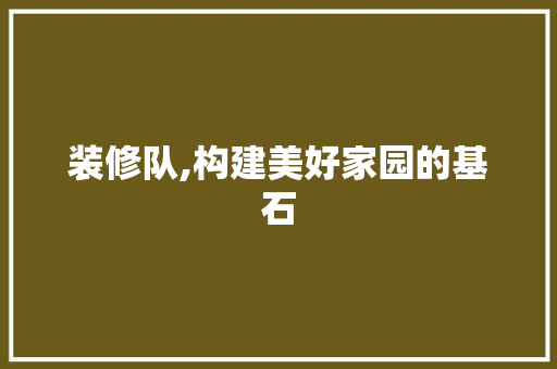装修队,构建美好家园的基石