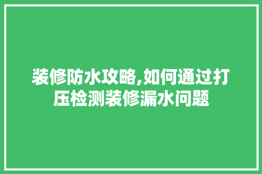 装修防水攻略,如何通过打压检测装修漏水问题