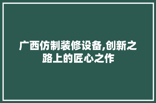 广西仿制装修设备,创新之路上的匠心之作