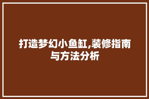 打造梦幻小鱼缸,装修指南与方法分析