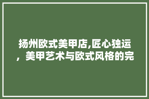 扬州欧式美甲店,匠心独运，美甲艺术与欧式风格的完美融合