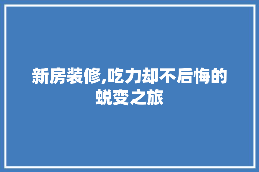 新房装修,吃力却不后悔的蜕变之旅