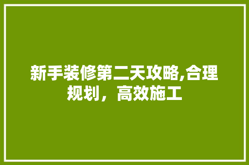 新手装修第二天攻略,合理规划，高效施工