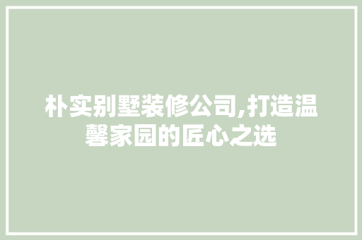 朴实别墅装修公司,打造温馨家园的匠心之选