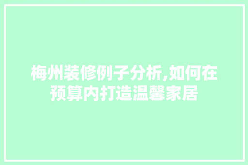 梅州装修例子分析,如何在预算内打造温馨家居