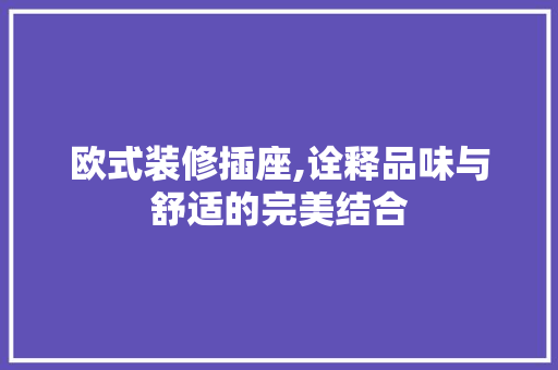 欧式装修插座,诠释品味与舒适的完美结合