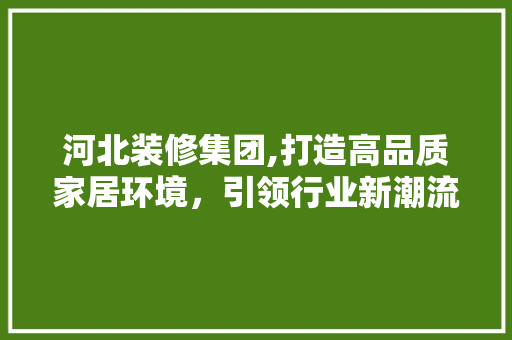 河北装修集团,打造高品质家居环境，引领行业新潮流