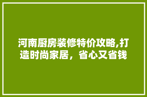 河南厨房装修特价攻略,打造时尚家居，省心又省钱
