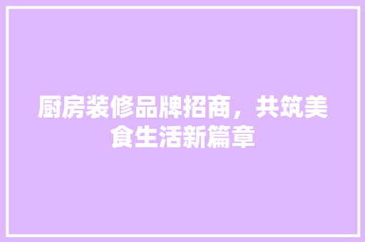 厨房装修品牌招商，共筑美食生活新篇章 实木门