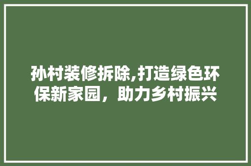 孙村装修拆除,打造绿色环保新家园，助力乡村振兴