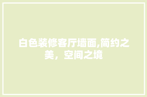 白色装修客厅墙面,简约之美，空间之境