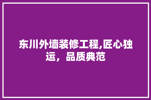 东川外墙装修工程,匠心独运，品质典范 防火门