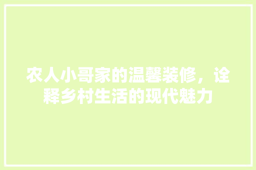 农人小哥家的温馨装修，诠释乡村生活的现代魅力