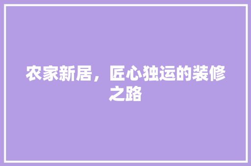 农家新居，匠心独运的装修之路