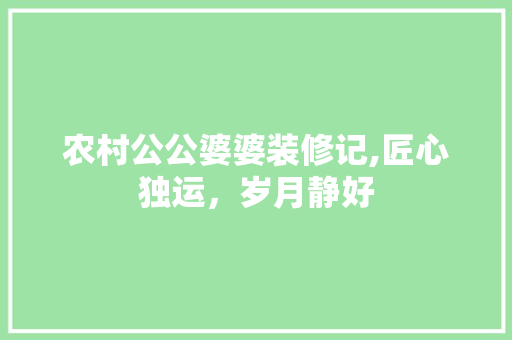 农村公公婆婆装修记,匠心独运，岁月静好