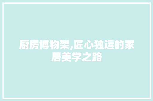厨房博物架,匠心独运的家居美学之路